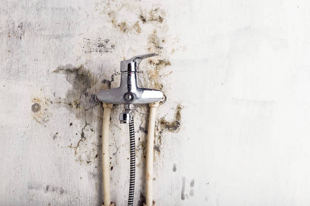 Best Mold Cleaning Services  in Lake Telemark, NJ