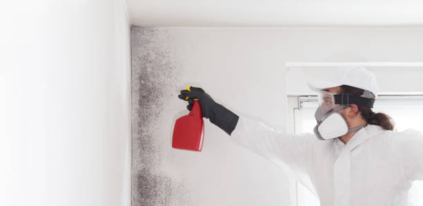 Best Mold Remediation  in Lake Telemark, NJ