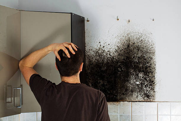 Best Emergency Mold Removal  in Lake Telemark, NJ